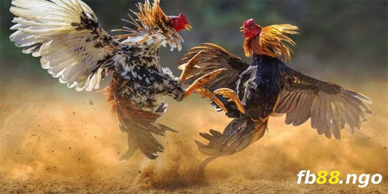 Sản phẩm của Công ty Bong888 Games - Bong888