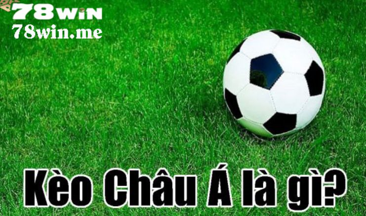 868Vip cung cấp cái nhìn tổng quan toàn diện về tin tức bóng đá - 868Vip