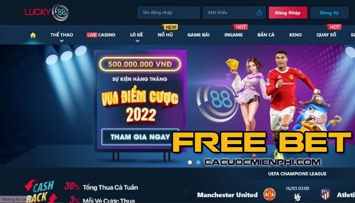 Chúng tôi đã tiến hành đánh giá chất lượng chi tiết đối với trang web chơi game được xếp hạng V9bet - V9bet