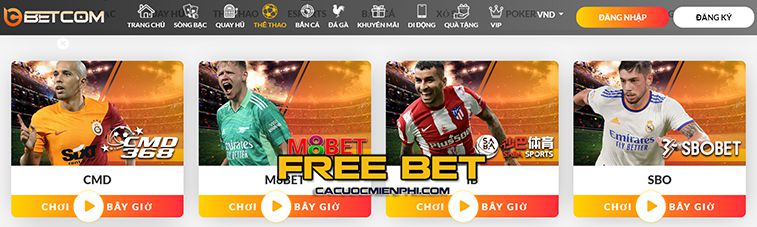 Tải ứng dụng Pho88 cho thiết bị Android - Pho88
