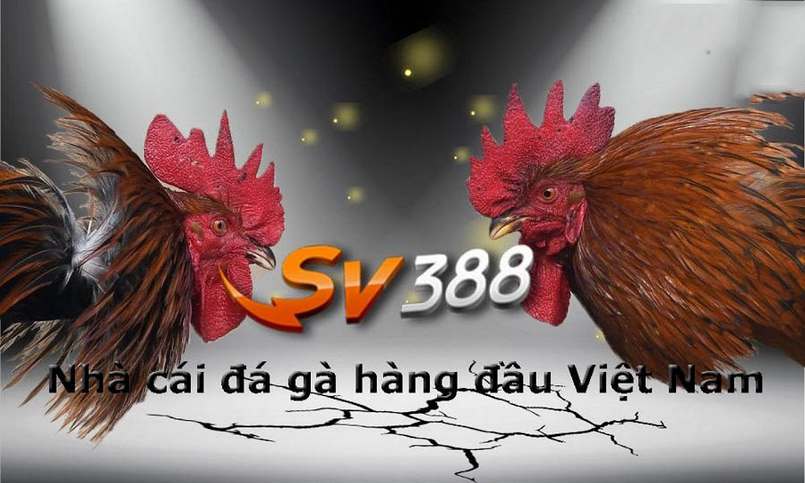 Hướng dẫn cách tham gia sự kiện xổ số Ggwin - Ggwin