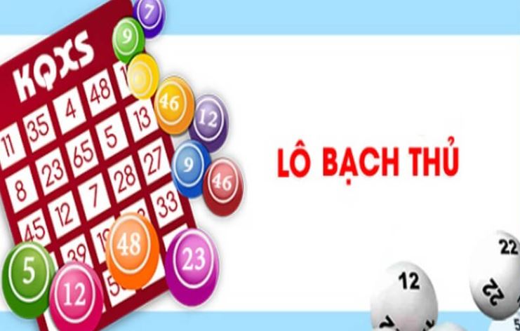 Mn88 Gaming cung cấp những lựa chọn cá cược nào? - Mn88