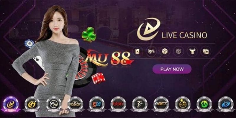 Mibet là gì? Nó có uy tín không? - Mibet