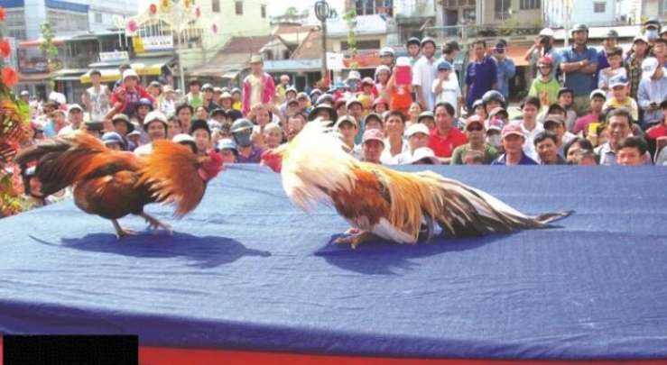 Az888 là một trong những công ty game nổi tiếng nhất trên thị trường - Az888