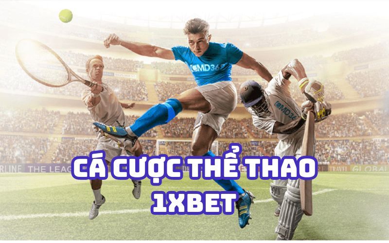 Nên chọn hạng 8Kbet hay 8Kbet thì an toàn hơn? - 8Kbet