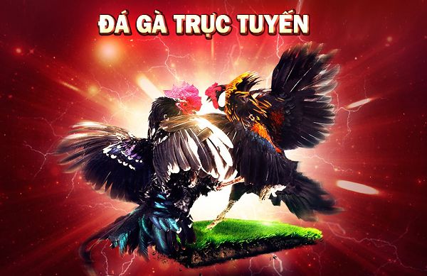 Dịch vụ chuyên nghiệp và tận tâm đạt chuẩn Sunwin - Sunwin