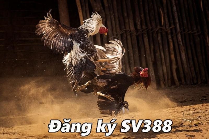 Trò chơi trực tuyến cấp độ 88Bet - 88Bet