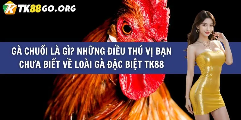 Trang web chơi game trực tuyến chất lượng cao và an toàn đạt chuẩn 88Clb - 88Clb