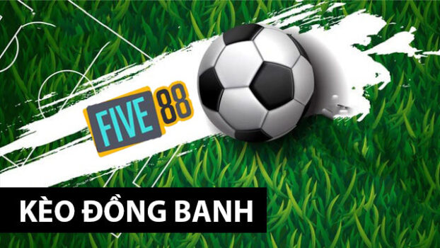 Tỷ lệ cược trận đấu bóng đá phổ biến cấp độ Kuvip - Kuvip