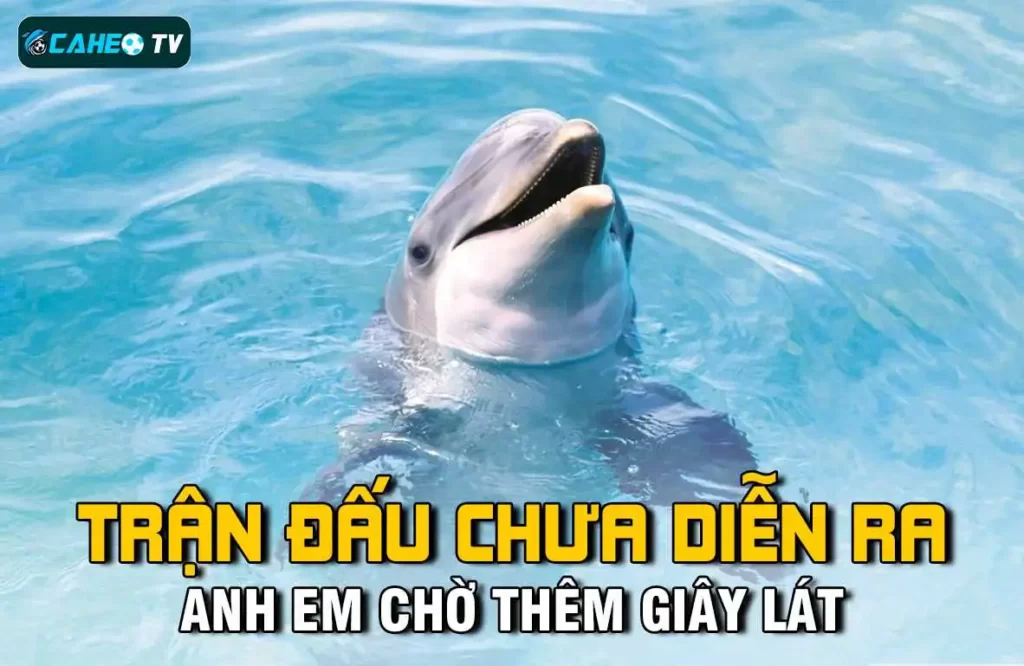 Các sản phẩm trò chơi cấp Benbet khác - Benbet