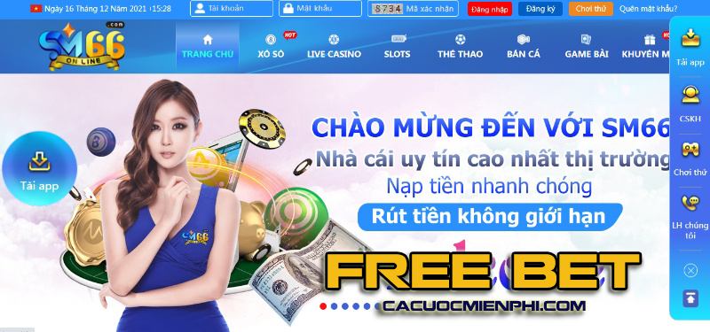 Giới thiệu về gà chọi B52 - B52